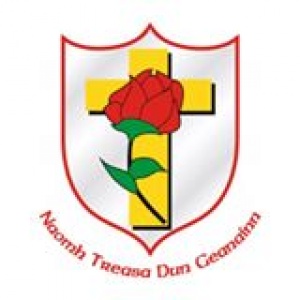 Cumann Camógaíochta Naomh Treasa